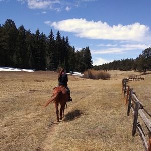 Meet your Posher, Cyndi